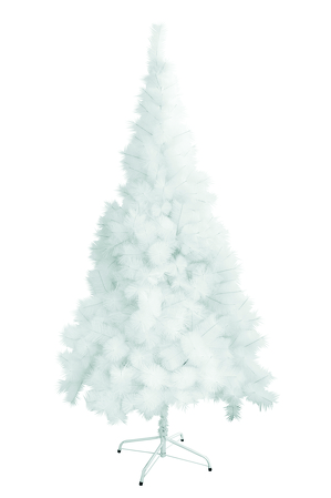 Vánoční stromek bílá borovice výška 180 cm